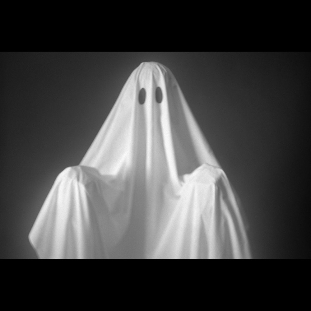 Meet your Posher, Ben